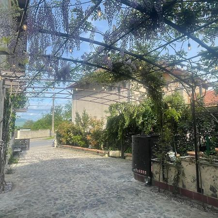 Luxury House Teodora Vila Deva Exterior foto