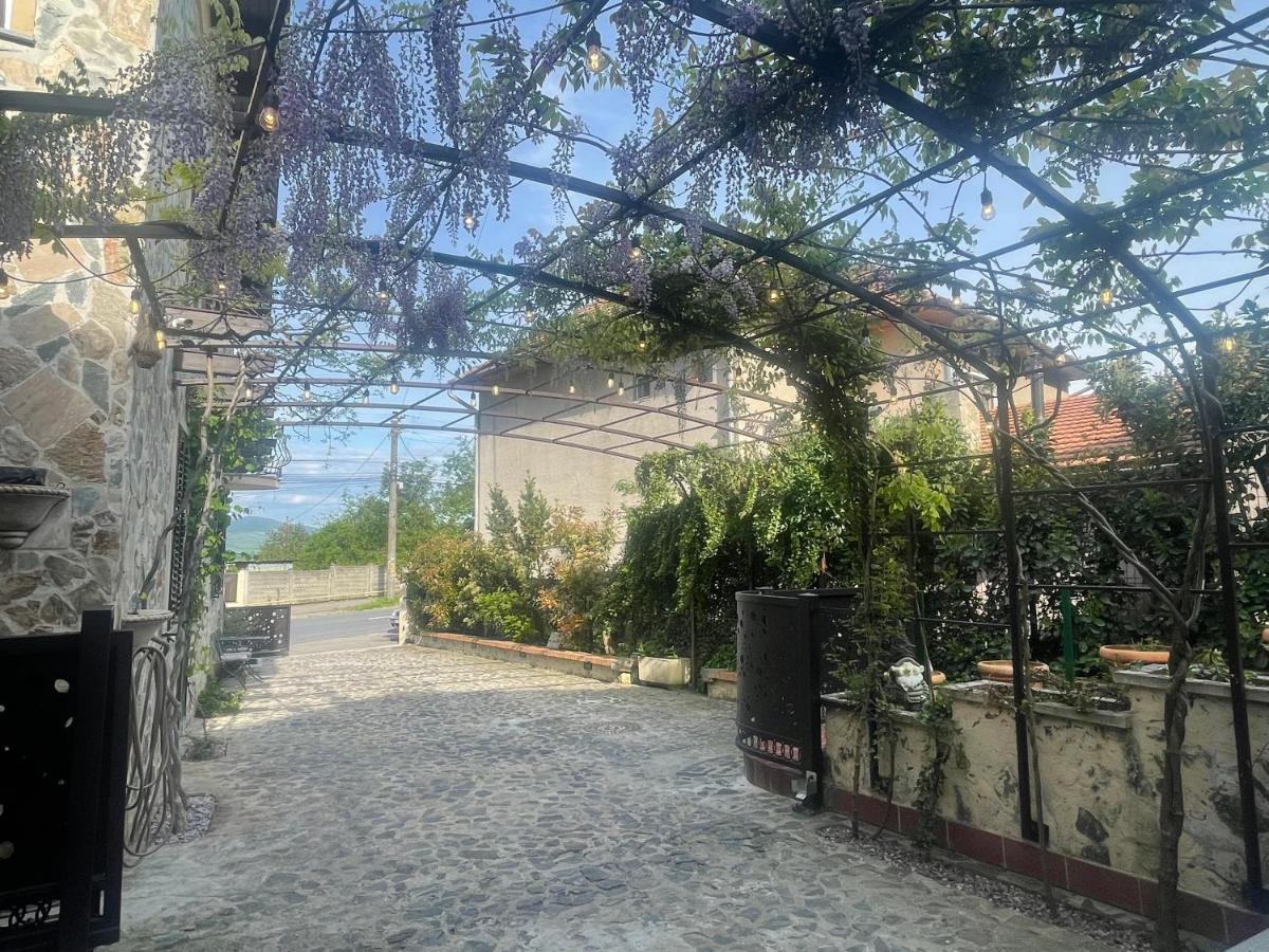 Luxury House Teodora Vila Deva Exterior foto